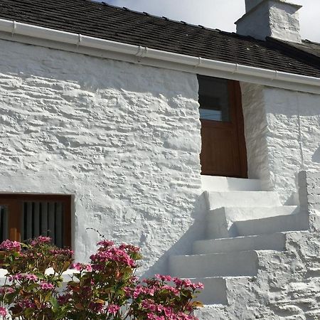 Little Barn Cottage Newport  Exteriör bild