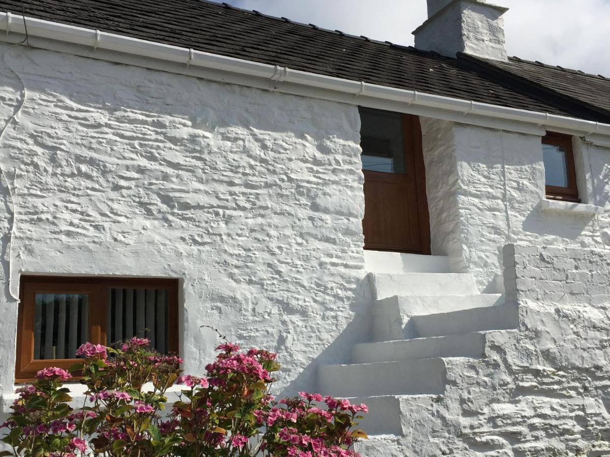 Little Barn Cottage Newport  Exteriör bild